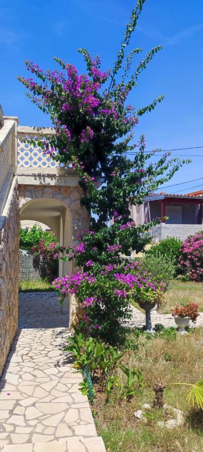 Villa Kadinela, 200M From Kamenjak, Huge Quiet Garden With Barbecue, 2 New Kitchens Premantura Exteriör bild