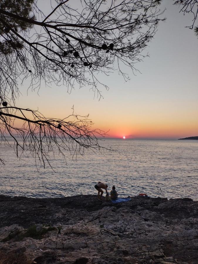 Villa Kadinela, 200M From Kamenjak, Huge Quiet Garden With Barbecue, 2 New Kitchens Premantura Exteriör bild